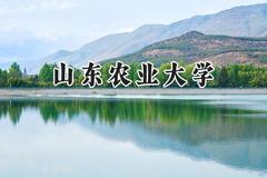 山东农业大学2024在浙江录取分数线是多少？最低488分/最高598分
