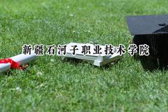 新疆石河子职业技术学院2024在重庆录取分数线是多少？最低233分/最高390分