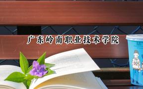 2024广东岭南职业技术学院录取分数线：青海最低202分