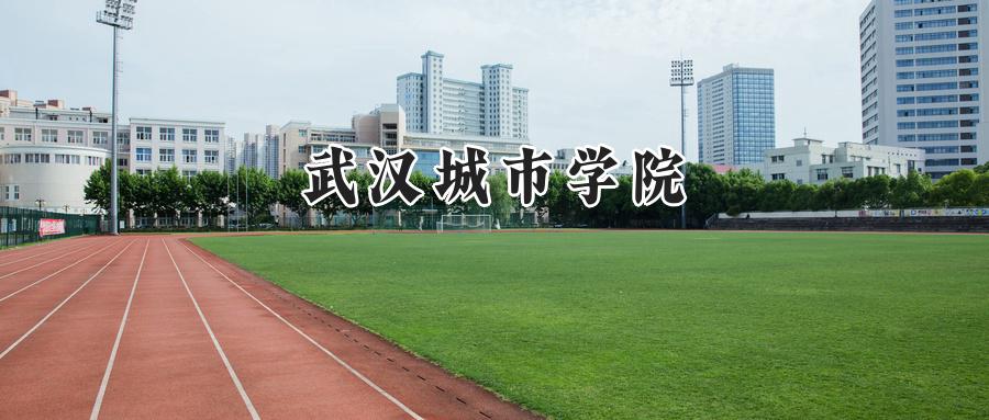 武汉城市学院