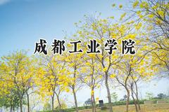 2024成都工业学院录取分数线：江苏最低521分
