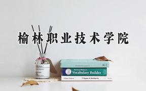 2024榆林职业技术学院录取分数线：青海最低301分