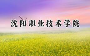 沈阳职业技术学院2024在重庆录取分数线是多少？最低298分/最高395分