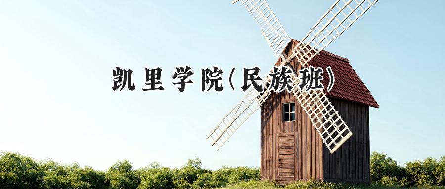 凯里学院(民族班)