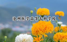 2024沧州医学高等专科学校录取分数线：青海最低299分