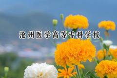 2024沧州医学高等专科学校录取分数线：青海最低299分