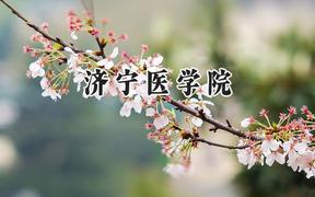 2024济宁医学院录取分数线：青海最低357分