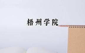 2024梧州学院录取分数线：天津最低502分