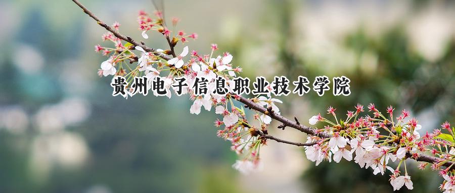 贵州电子信息职业技术学院