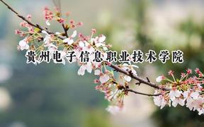 贵州电子信息职业技术学院2024在贵州录取分数线是多少？最低186分/最高401分