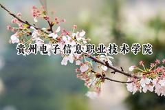 贵州电子信息职业技术学院2024在贵州录取分数线是多少？最低186分/最高401分