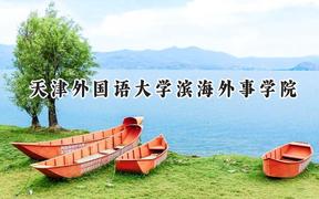 2024天津外国语大学滨海外事学院录取分数线：山西最低410分