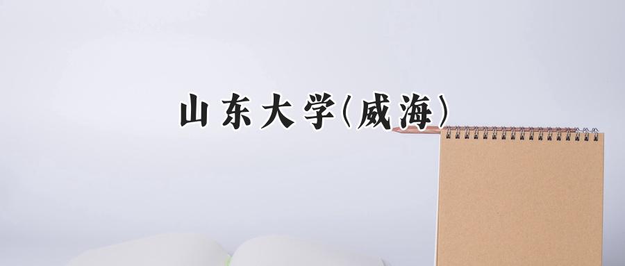 山东大学(威海)
