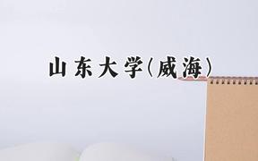 山东大学(威海)2024在天津录取分数线是多少？最低632分/最高641分