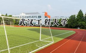 武汉工程大学2024在河北录取分数线是多少？最低528分/最高599分