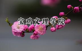 宝鸡文理学院2024在辽宁录取分数线是多少？最低466分/最高510分