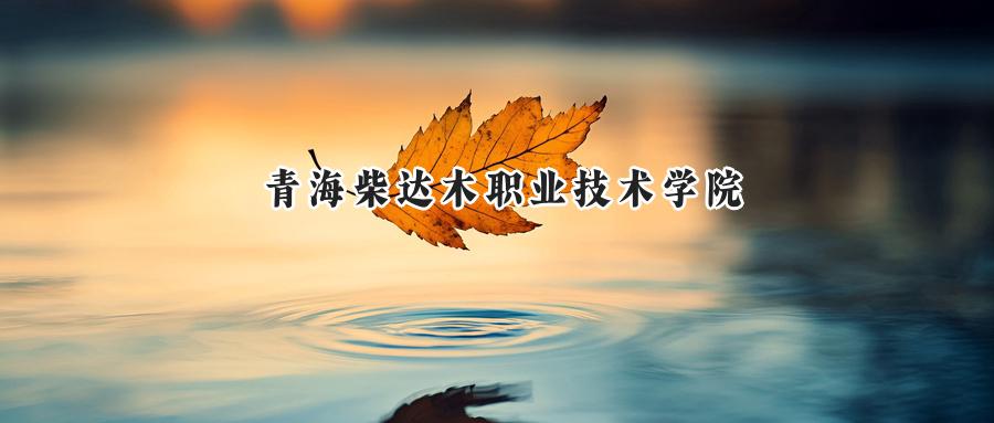 青海柴达木职业技术学院