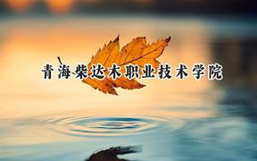 2024青海柴达木职业技术学院录取分数线：青海最低254分