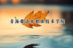2024青海柴达木职业技术学院录取分数线：青海最低254分