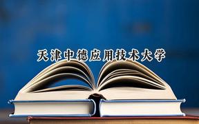 2024天津中德应用技术大学录取分数线：天津最低206分