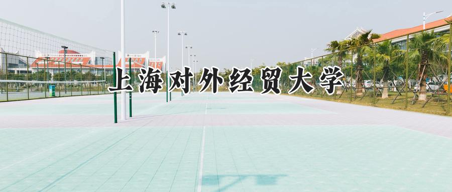 上海对外经贸大学