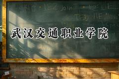 2024武汉交通职业学院录取分数线：天津最低214分