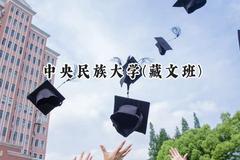 2024中央民族大学(藏文班)录取分数线：青海最低515分