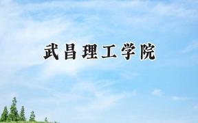 2024武昌理工学院录取分数线：青海最低333分