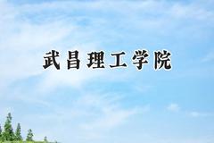 2024武昌理工学院录取分数线：青海最低333分