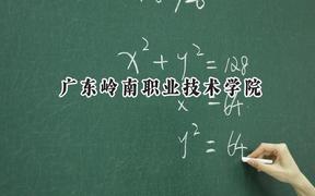 2024广东岭南职业技术学院录取分数线：山西最低197分