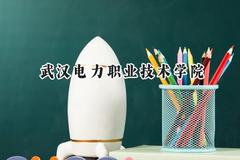 武汉电力职业技术学院2024在河北录取分数线是多少？最低437分/最高468分