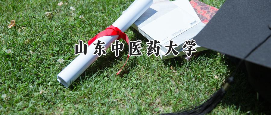 山东中医药大学