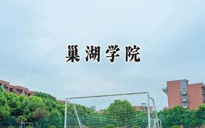 巢湖学院2024在浙江录取分数线是多少？最低508分/最高569分