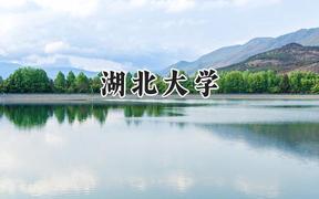 2024湖北大学录取分数线：新疆最低391分