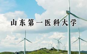 2024山东第一医科大学录取分数线：天津最低528分