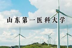 2024山东第一医科大学录取分数线：天津最低528分