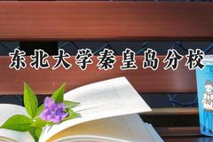 东北大学秦皇岛分校2024在山西录取分数线是多少？最低564分/最高612分
