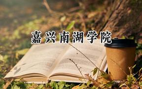 嘉兴南湖学院2024在四川录取分数线是多少？最低523分/最高543分