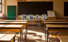 渤海大学2024在四川录取分数线是多少？最低457分/最高539分