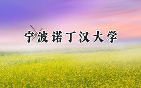宁波诺丁汉大学2024在河北录取分数线是多少？最低553分/最高586分
