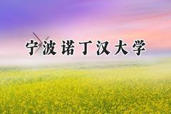 宁波诺丁汉大学2024在河北录取分数线是多少？最低553分/最高586分