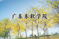 2024广东东软学院录取分数线：江苏最低463分