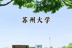苏州大学2024在上海录取分数线是多少？最低534分/最高559分