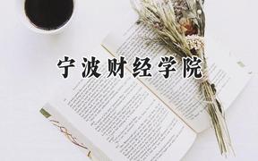 2024宁波财经学院录取分数线：江苏最低462分
