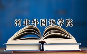 2024河北外国语学院录取分数线：天津最低491分