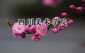 四川美术学院2024在江苏录取分数线是多少？最低502分/最高563分