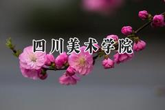 四川美术学院2024在江苏录取分数线是多少？最低502分/最高563分