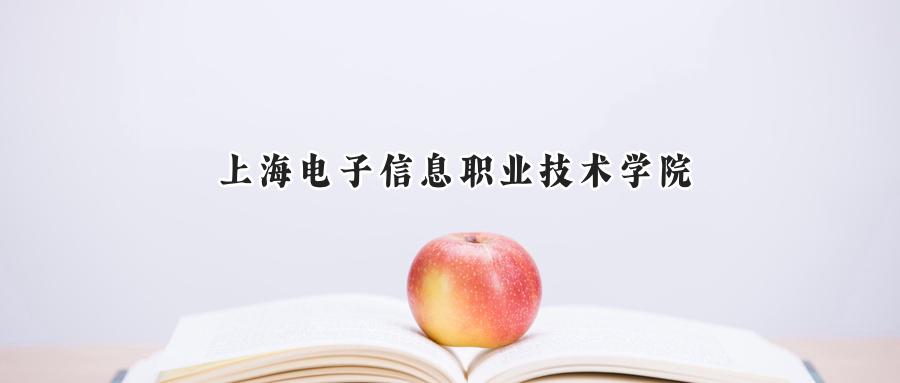 上海电子信息职业技术学院