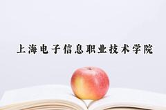 上海电子信息职业技术学院2024在浙江录取分数线是多少？最低412分/最高560分
