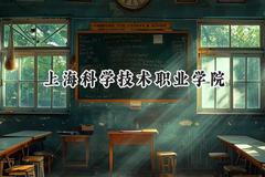 上海科学技术职业学院2024在辽宁录取分数线是多少？最低322分/最高428分